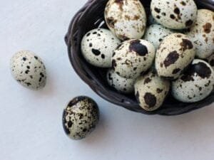 Manfaat Telur Puyuh Untuk Kesehatan Tubuh