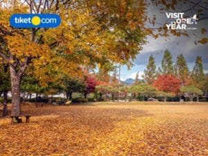 Inspirasi Destinasi Liburan Berdasarkan Pilihan Drama Korea Favoritmu!