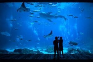Punya Rencana Liburan Keluarga? Intip Destinasi 3G Travel untuk Liburan Tiga Generasi Di Asia