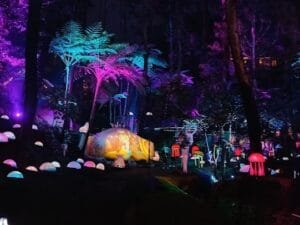 Bertualang Bak Di Negeri Dongeng Bersama Keluarga DI Hutan Mycelia Lembang