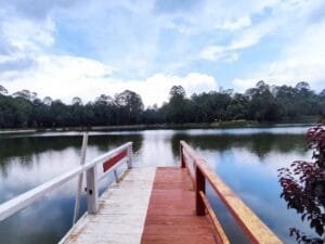 Jelajah Titik Nol Sungai Citarum, Situ Cisanti Punya 7 Mata Air