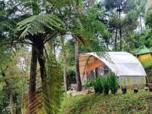 Starcamp Ipukan Palutungan Tawarkan Banyak Pilihan Glamping