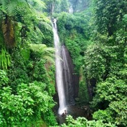 Menyatu dengan Keindahan Alam yang Menyejukkan, Ini Wisata Alam di Bogor Nggak Jauh Dari Kota Bogor, Curug Nangka Bisa Jadi Destinasi Liburan Keluarga