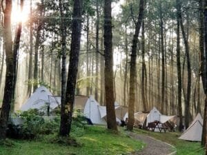10 Tempat Wisata Seru di Lembang yang Wajib Kamu Kunjungi! Tangkal Pinus Lembang, Tawarkan Healing Di Tengah Hutan Pinus Dengan Beragam Aktivitas Seru