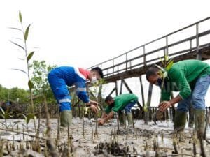 Permata Hijau Pesisir Atasi Perubahan Iklim dan Dukung Dekarbonisasi
