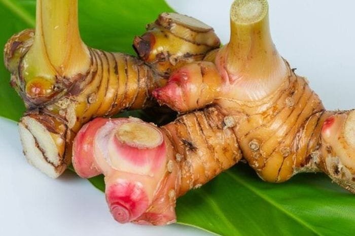 Sering Jadi Bumbu Dapur, Lengkuas Rempah Ajaib Kaya Manfaat
