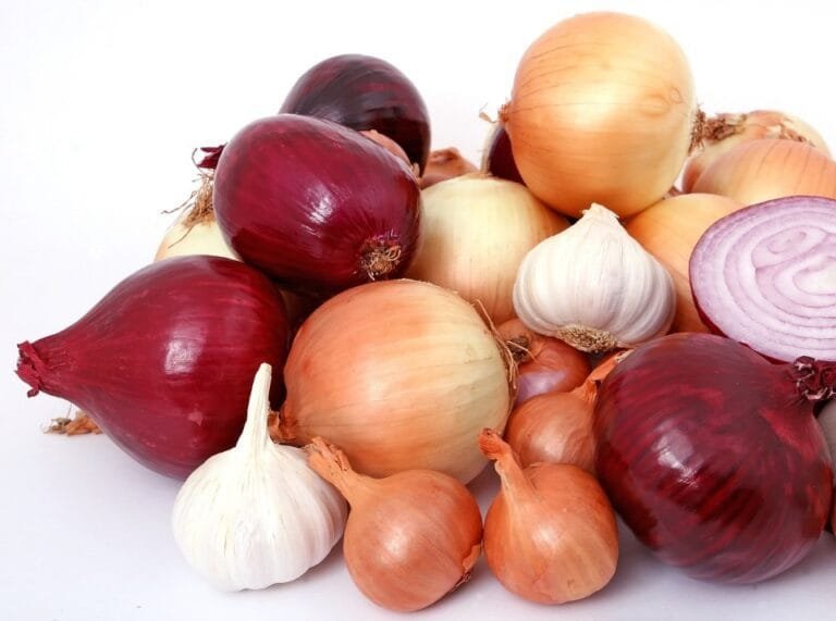 Belum Banyak Yang Tau, Antioksidan Yang Terkandung Dalam Kulit Bawang Bermanfaat Bagi Kesehatan