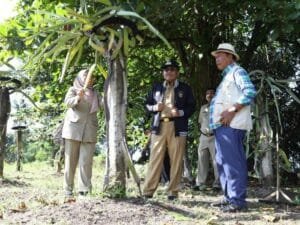 Kabupaten Kepulauan Seribu, Pulau Tidung Kecil Di persiapkan Menjadi Lumbung Pangan