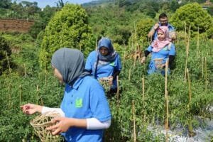 Jejakkan Kaki di Desa Sejahtera Astra, Bawa Pulang Pengalaman Pedesaan Bersama FIFGROUP