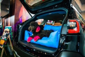 Subaru Hadir di Indonesia International Pet Expo 2024