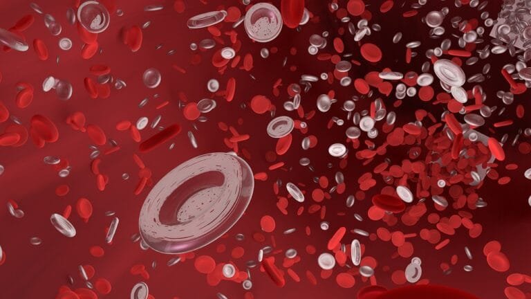 Mengenal Gejala, Penyebab dan Pengobatan Leukemia (Kanker Darah)