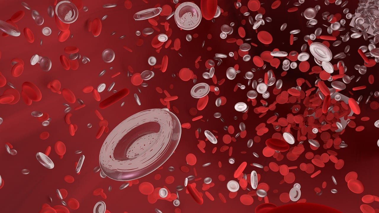 Mengenal Gejala, Penyebab dan Pengobatan Leukemia (Kanker Darah)
