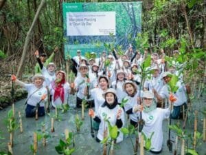 B. Braun Indonesia Bersama Wastehub Menanam Mangrove di Jakarta dan Bali, Dukung Pelestarian Lingkungan