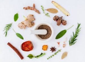 Beragam Jenis Tanaman Herbal Untuk Meningkatkan Imun Tubuh