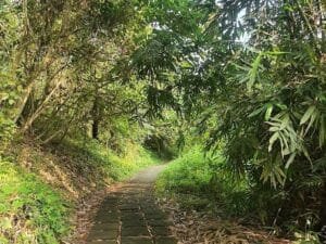 Jalur Trekking Ubud dengan Udara Segar dan Kearifan Lokal