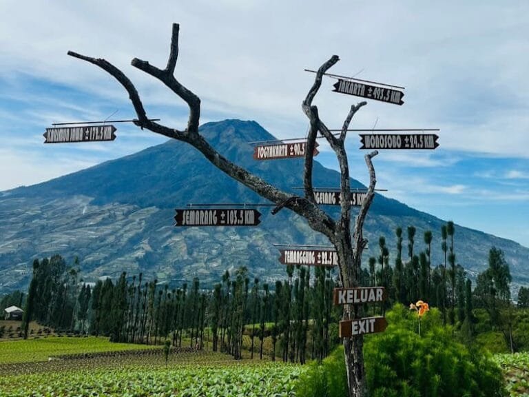 Taman Wisata Alam Posong Suguhkan Surga Tersembunyi di Lereng Gunung Sindoro