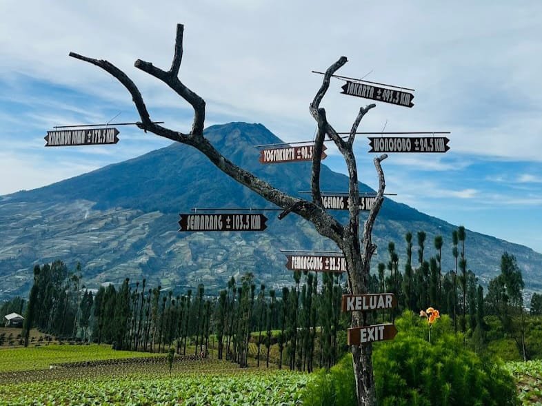 Taman Wisata Alam Posong Suguhkan Surga Tersembunyi di Lereng Gunung Sindoro
