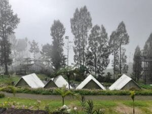 Taman Wisata Alam Posong Suguhkan Surga Tersembunyi di Lereng Gunung Sindoro