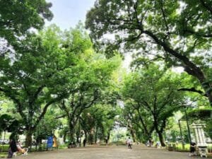 Destinasi Wisata di Jakarta