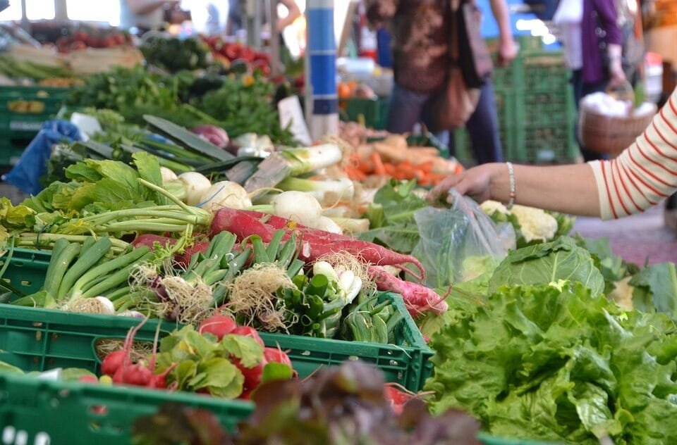 Manfaat Konsumsi Sayuran untuk Kesehatan