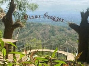Menikmati Megahnya Kota Jogya dari Wisata Hutan Pinus Pengger