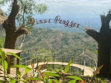 Nikmati Suasana Tenang di Wisata Hutan Pinus Jogja untuk Healing yang Maksimal Menikmati Megahnya Kota Jogya dari Wisata Hutan Pinus Pengger