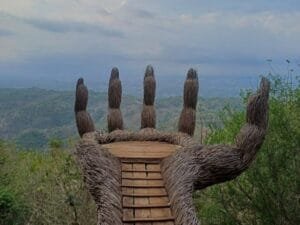 Menikmati Megahnya Kota Jogya dari Wisata Hutan Pinus Pengger