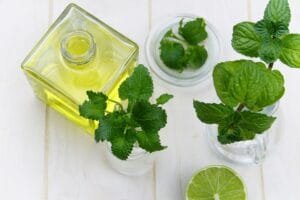 Minyak Peppermint