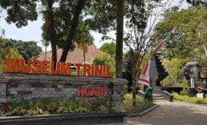 Jangan Sampai Ketinggalan! Ini Dia Keunikan Museum Trinil yang Wajib Kamu Tahu