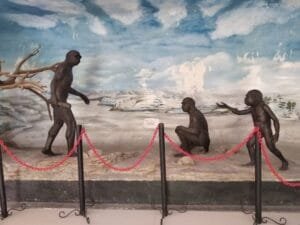 Jangan Sampai Ketinggalan! Ini Dia Keunikan Museum Trinil yang Wajib Kamu Tahu