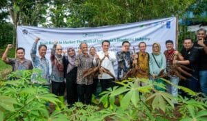 Singkong Cikarawang Hasilkan Bioplastik, Produknya Sampai ke Jepang