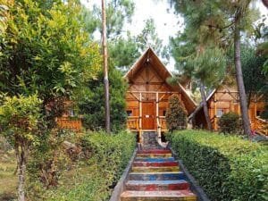 The Green Villa’s