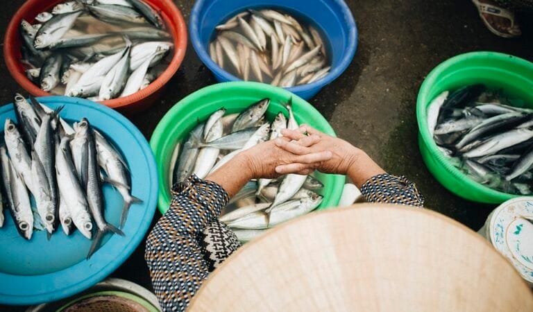 Manfaat Mengkonsumsi Ikan Basah untuk Kesehatan