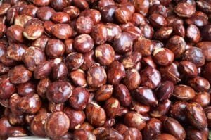 Manfaat Jengkol untuk Kesehatan