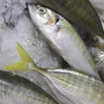 Ikan Kembung: Si Lezat yang Kaya Gizi