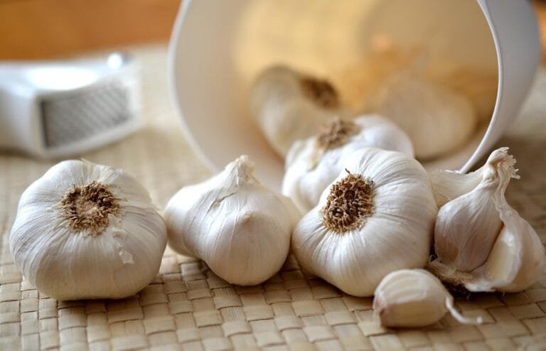 Manfaat Bawang Putih: Rahasia Kesehatan dan Kecantikan yang Tersembunyi dalam Dapur