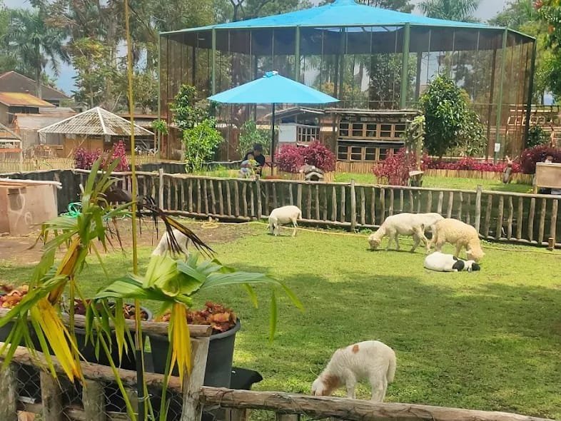 De Landden Lembang: Wisata Baru dengan Playground dan Wahana Seru di Tengah Pemandangan Gunung