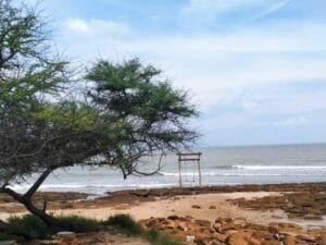 5 Destinasi Wisata Hits yang Wajib Dikunjungi di Tuban Tahun 2025