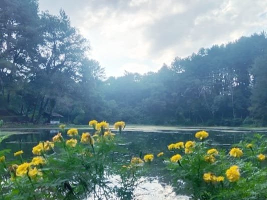 5 Tempat Wisata di Kuningan yang Lagi Hits di 2025, Wajib Masuk Bucket List Kamu!