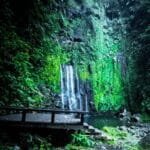 Curug Tirta Sela, Surga Tersembunyi di Baturaden yang Wajib Kamu Kunjungi!