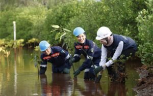 MIND ID Dukung Target Net Zero Emission Melalui Penanaman Mangrove Pesisir Pantai