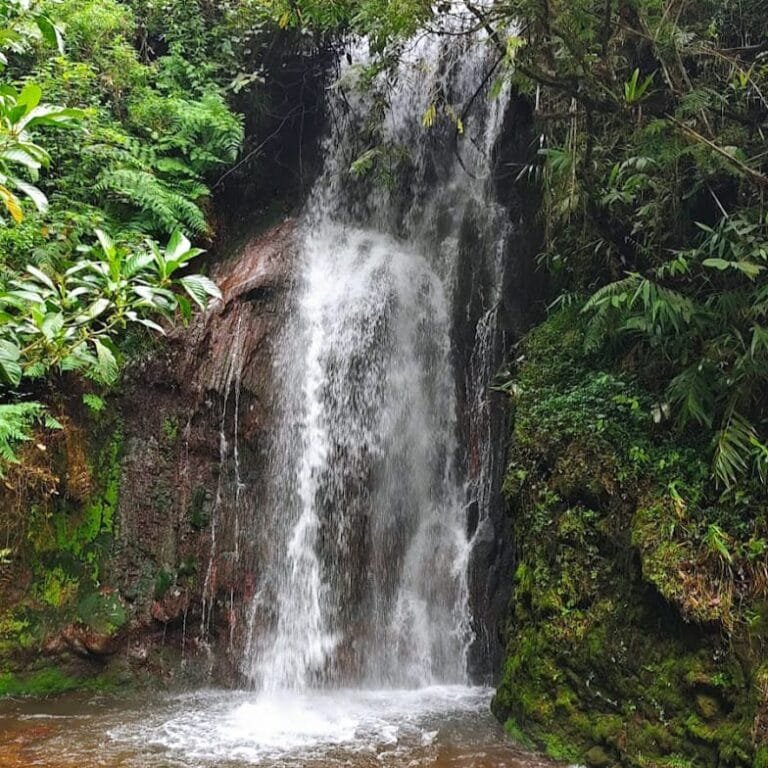 Nikmati Relaksasi Alam di Arga Hot Springs Tasikmalaya