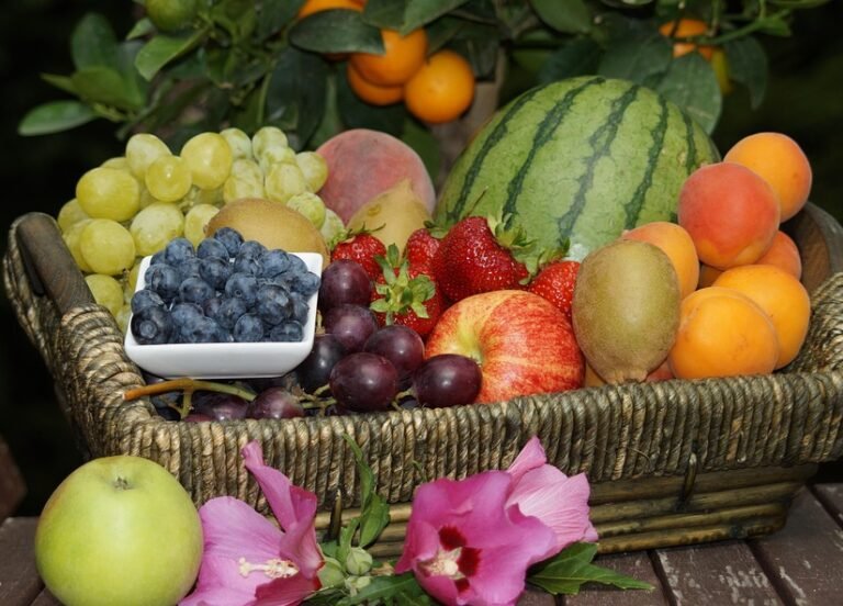 Aneka Buah Terbaik untuk Menjaga Kesehatan Ginjal