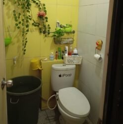 Rumah Idaman di Bintaro: Lokasi Strategis dan Harga Terjangkau