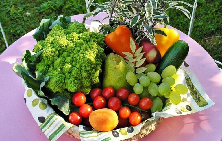 Buah atau Sayur, Mana yang Lebih Baik untuk Kesehatan? Ini Penjelasan Lengkapnya!