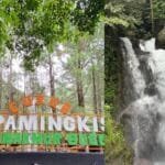 Curug Cipamingkis: Surga Alam Keluarga di Tengah Hutan Jawa Barat