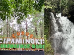 Curug Cipamingkis: Surga Alam Keluarga di Tengah Hutan Jawa Barat