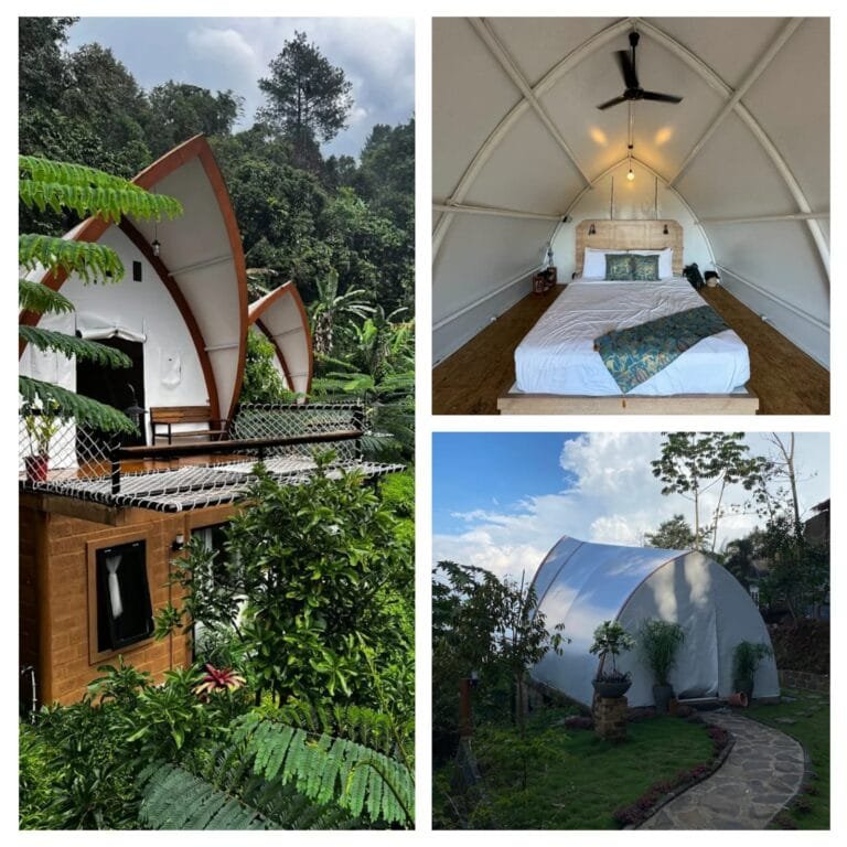 Glamping Hits di Cigombong! Selayang Olivehill Tawarkan Staycation Estetik dengan View Alam 180 Derajat