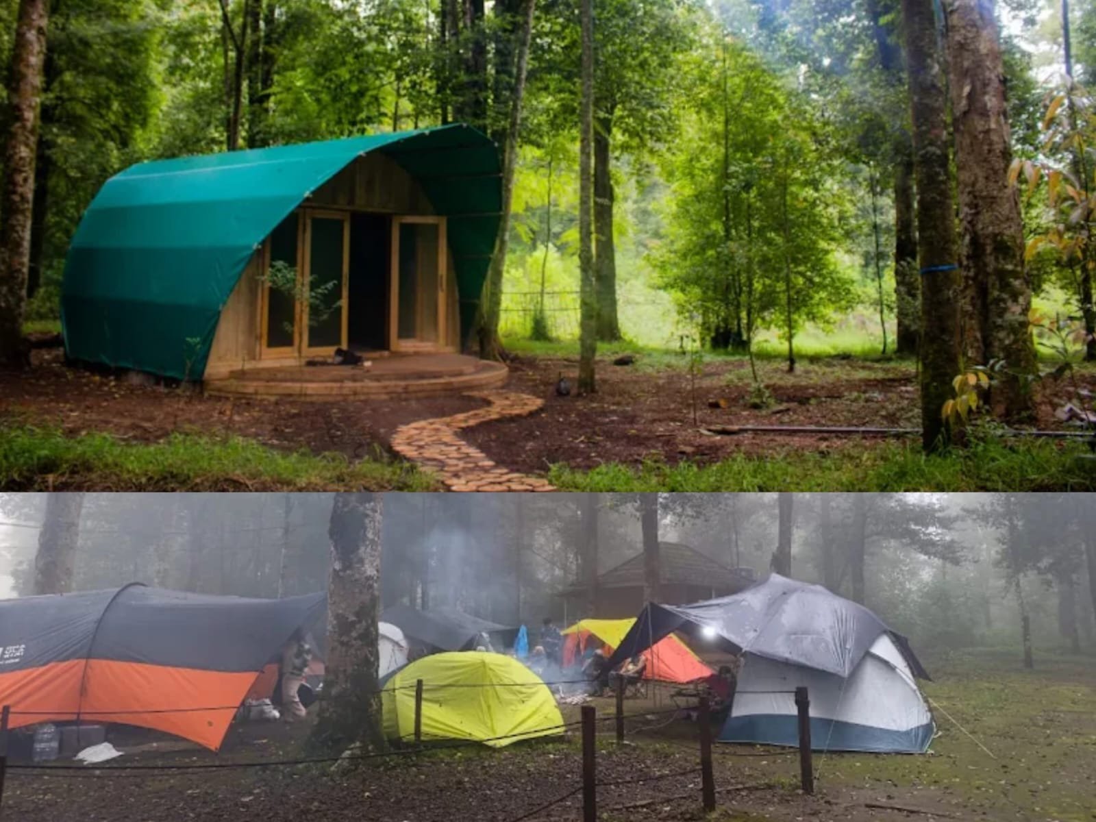 Hejo Forest, Surga Tersembunyi di Rancabali, Bandung