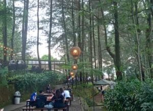 Kopi Daong: Sensasi Ngopi Estetik di Tengah Hutan Pinus Bogor